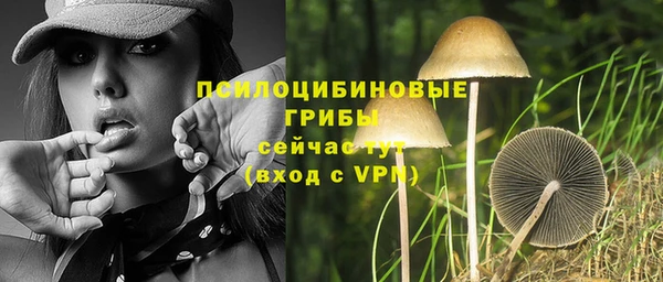 ECSTASY Армянск