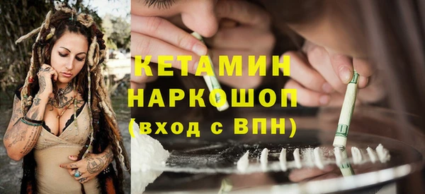трава Аркадак