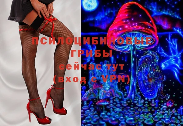 трава Аркадак